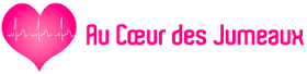 Au coeur des jumeaux 2