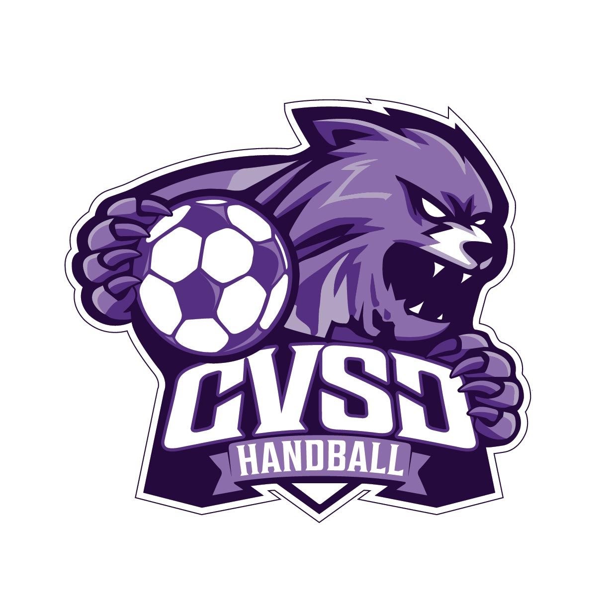 CVSD Handball logo